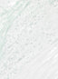 [BeautyOfJoseon] Green Plum Refreshing Cleanser 100ml