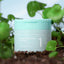 [Numbuzin] No.1 Centella Re-Leaf Green Toner Pad 70Pads 190ml