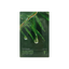 [Dr.Ceuracle] Tea Tree Purifine Soothing Mask 10pcs