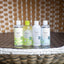 [theSAEM] Healing Tea Garden Tea tree Cleansing Water 300ml
